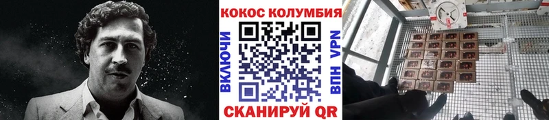 Cocaine 98%  продажа наркотиков  mega зеркало  Кадников 